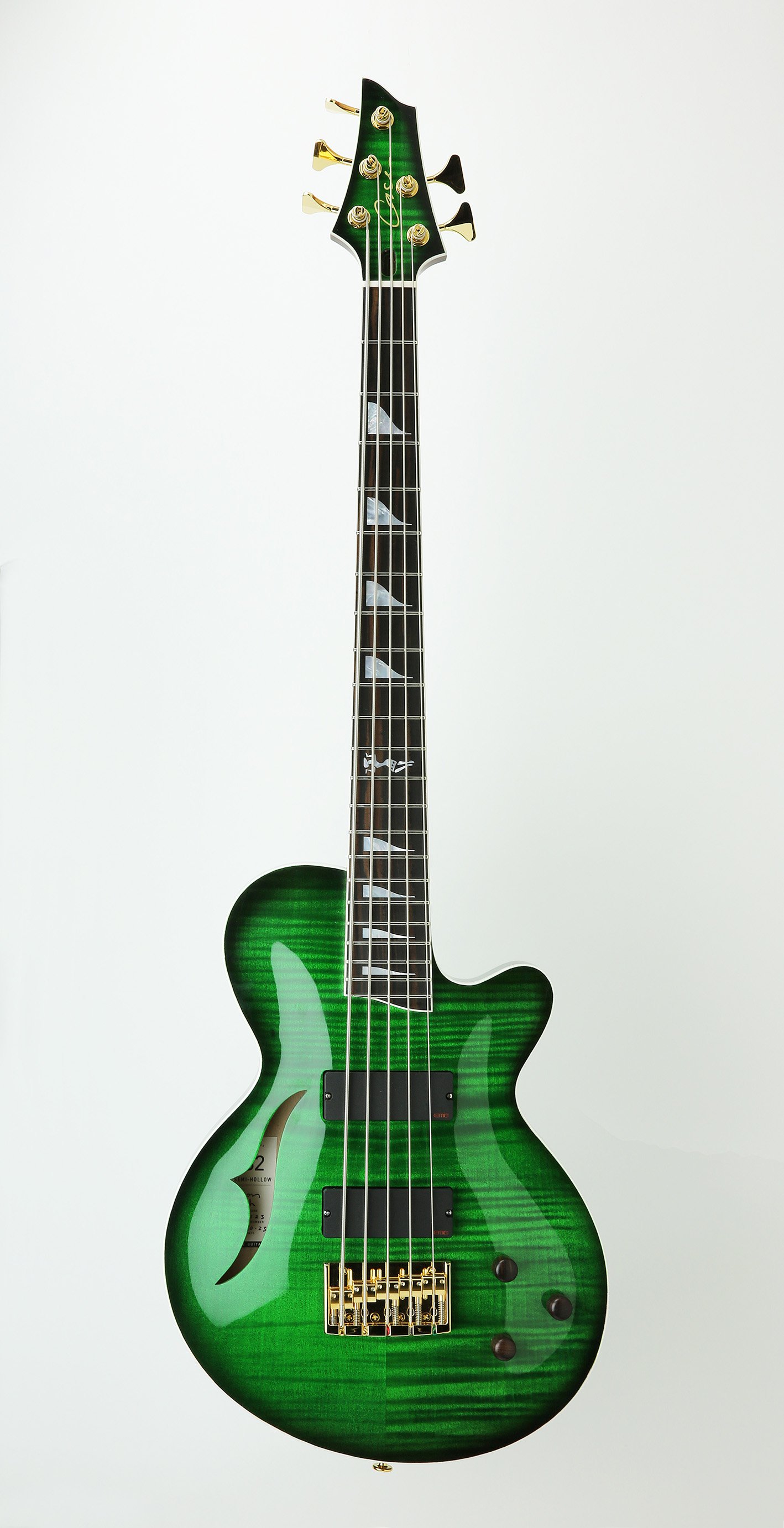 5 string bass case cheap